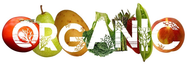 organic food in visakhapatnam
