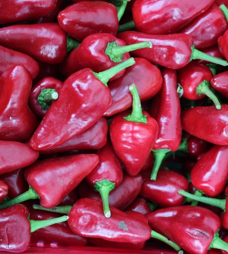 organic chillies
